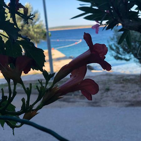 Croatia Mandre Apartment Екстериор снимка